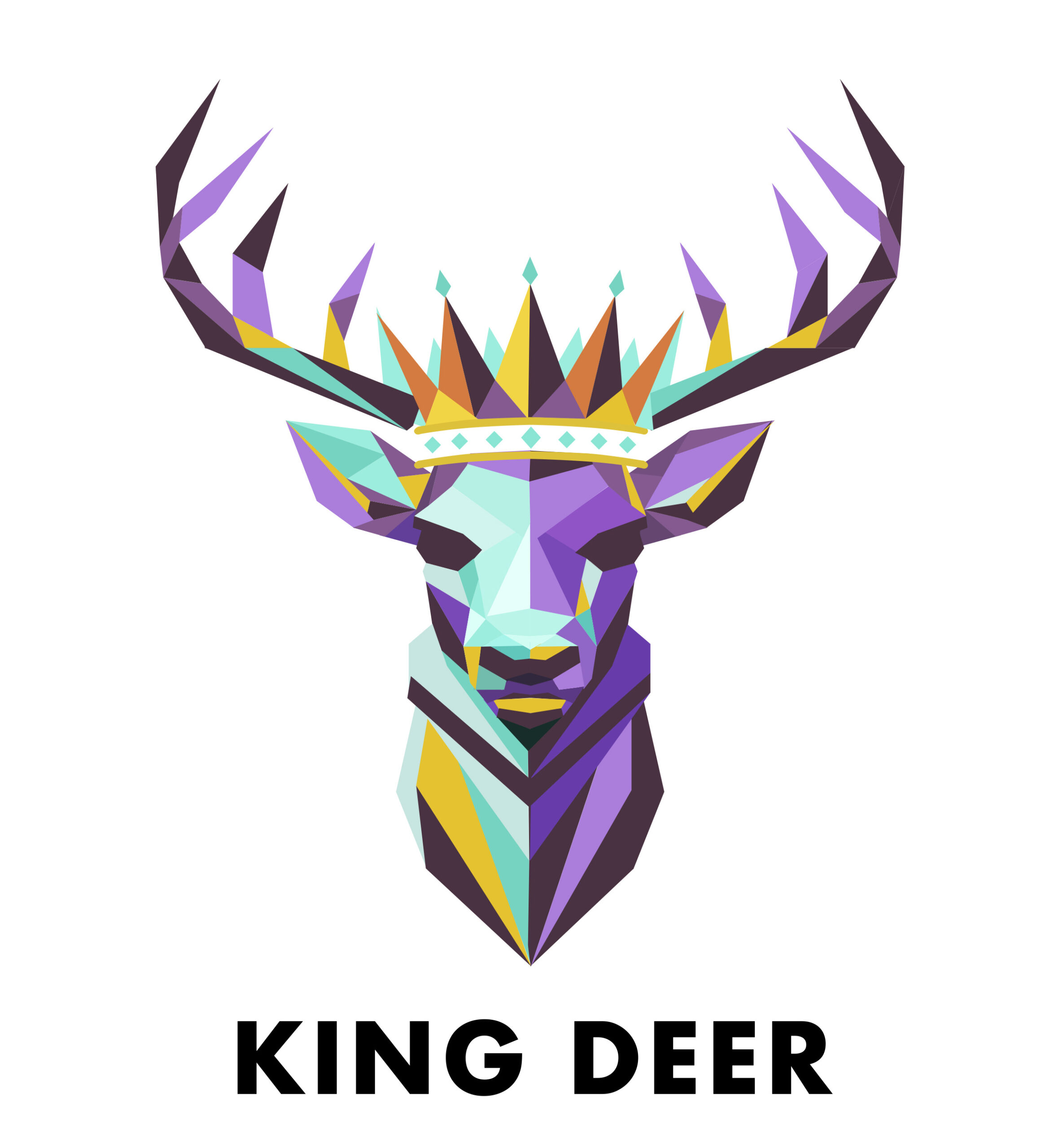 KINGDEER 2 Scaled